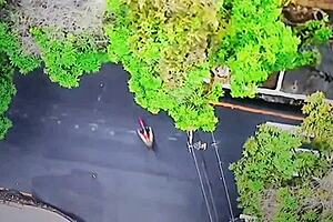 A Curious Tourist Encounters Bibi Tsunami In Vibrant Para Brazil