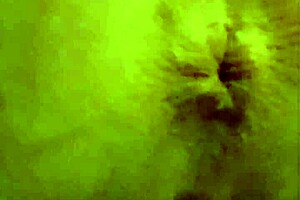 Pissing And Anal Winking For Leetdos