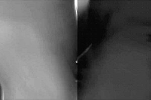 Maid's Companion Engages in Intimate Activity