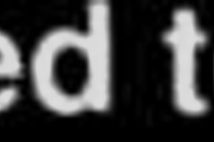 young amateur performs detailed blowjob, sucking, licking, and deepthroating the big cock