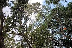 Fui a uma festa conheci amigo novo levei pra casa ele gozou dentro de mim creampie