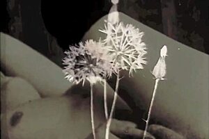 Vintage Pregnant Women in Lesbian Scene