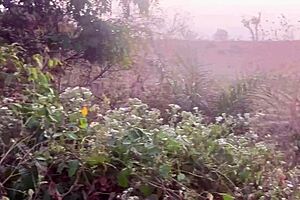 Village Girl's Boobs Bounce in Rough Stream Fuck