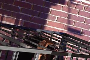 Watch This Ebony BBW Threesome With Big Asses And Monster Cocks!