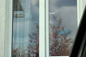 Public Nudity Driver Saw Naked Milf In Stockings Without Panties Washing Window