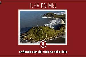 Mysterious tales unfold on honey island with intriguing stories