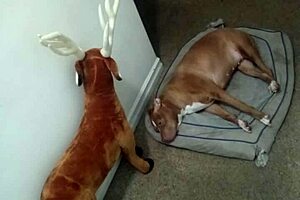 Exploring my zodiac's patience in new ways without touching myself 4 😌