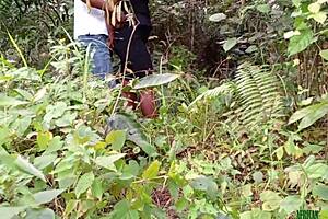Slept With The Strange Woman I Met In The Bush