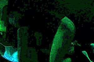 Carrie B Gives Deepthroat Blowjob!