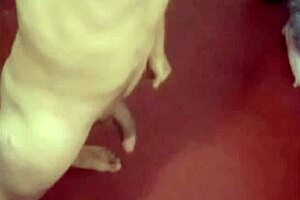 Compilation of all my photos in different facets, check it out! 📸