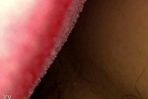 The Secret Affair in the Hidden Room Unveiled