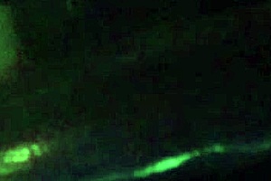 Hot Italian MILF Flashes Juicy Big Tits During Solo Car Ride!