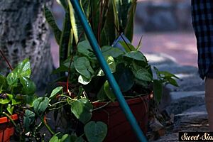 Busty Teen Rides Dick in Storyline