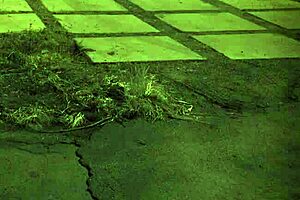 British outdoor sex xxx unless youre from the sixties and dig that