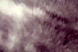 Aimee hot milf - the queen of married cocksuckers 1