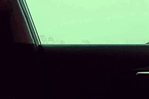 Dick Dance Outside In Vehicle