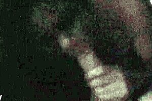 Filipina Milf Sucks Morning Wood With Passion