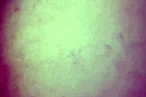 quick anal session before parents arrive, hoping they don't catch us