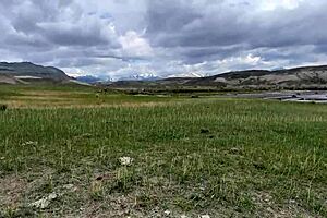 Compilation of public peeing at friends houses