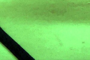 i get bbbj from shemale tstonia chase then bareback anal creampie