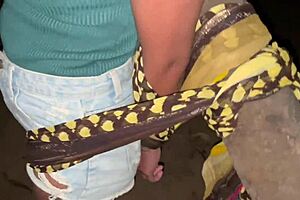 Hot young Indian loves black cock!