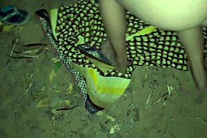 Hot young Indian loves black cock!