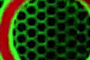 Horny sara jay fucks that huge dildo milf gets that hole loose