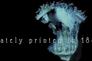 My Secret Life Explores Vintage Adventures