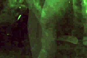 My Secret Life Explores Vintage Adventures