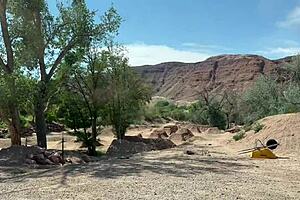 i suck balls in moab utah.