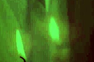 Transsexual rides cock