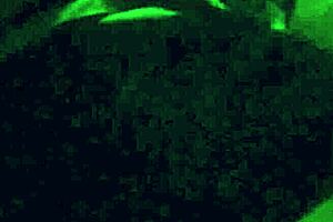 Enticing Brooke's Sexy Feet in Fetish Play