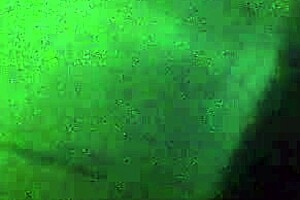 janet gets double teamed 4