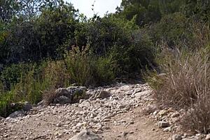 intense pleasure fucking in the car in the woods with aixmen la cubana