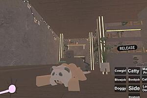 First Time Amateur Experience