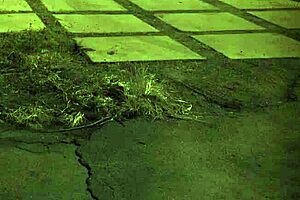 Rough hardcore b gangbang unless youre from the sixties and