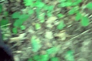 licking pussy in the woods until i cum - lesbian illusion girls