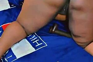 sundaydogood614 - update 527 - vid 20241011 135259 - oct 11 2024