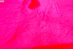 Kissing Feet And Fucking Delight