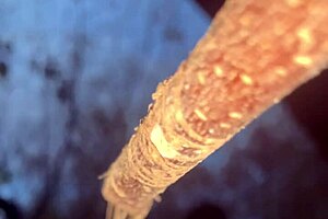 Forest witch bends over for black monster cock doggystyle creampie pounding