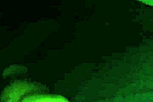 my fat ebony bbw mouth and pussy crave that black cock pounding