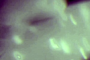 Sexy Costumes Ignite Wild Passionate Encounters!