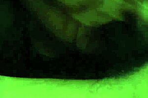 granny's gumming skills blow your mind