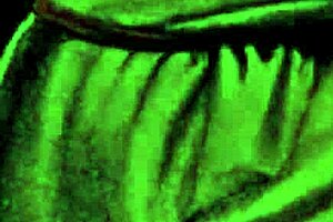 vintage erotic art teases hidden sensual desires