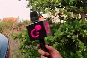 Venezuelan Traveler's Hopeful Journey from Venezuela to Colombia