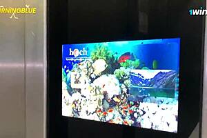 Arab sheik pleasured intimately by personal assistant burningblue and valentinaphanter