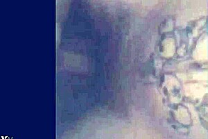 watch this insane big cock blowjob compilation with sloppy sucking creampies and monster loads