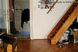 open wide doggy my goth mistress has fresh piss in this glass for you