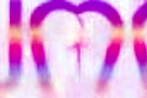 hannah jones surrenders to three big black cocks with intense gaping thrills