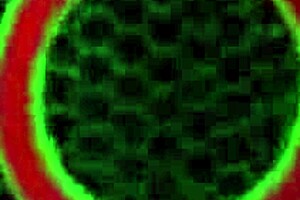 Sara Jay sways her cougar curves mysteriously